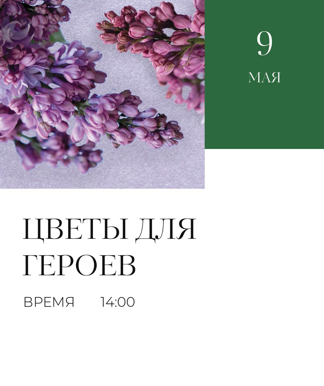 Высаживаем сирень
