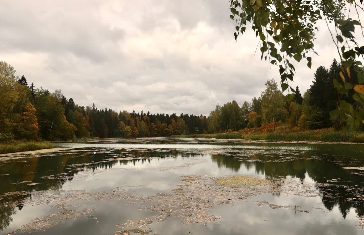 Абрамцевская осень