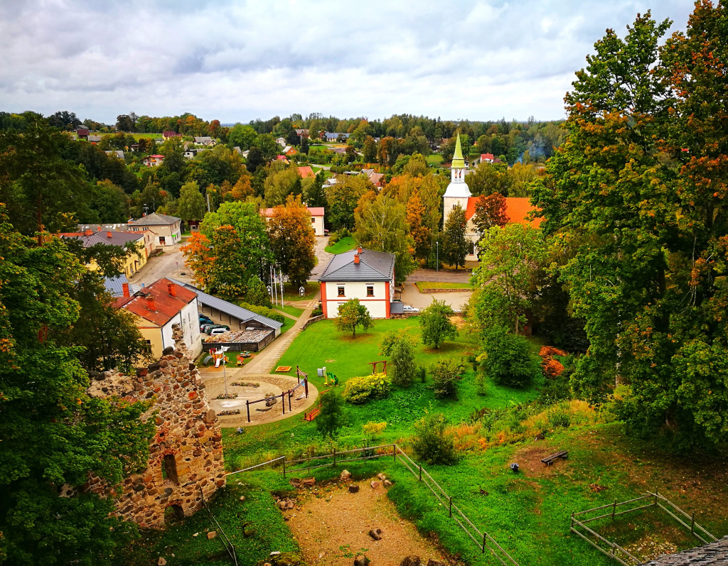 high-angle-view-townscape-trees-town (1).jpg