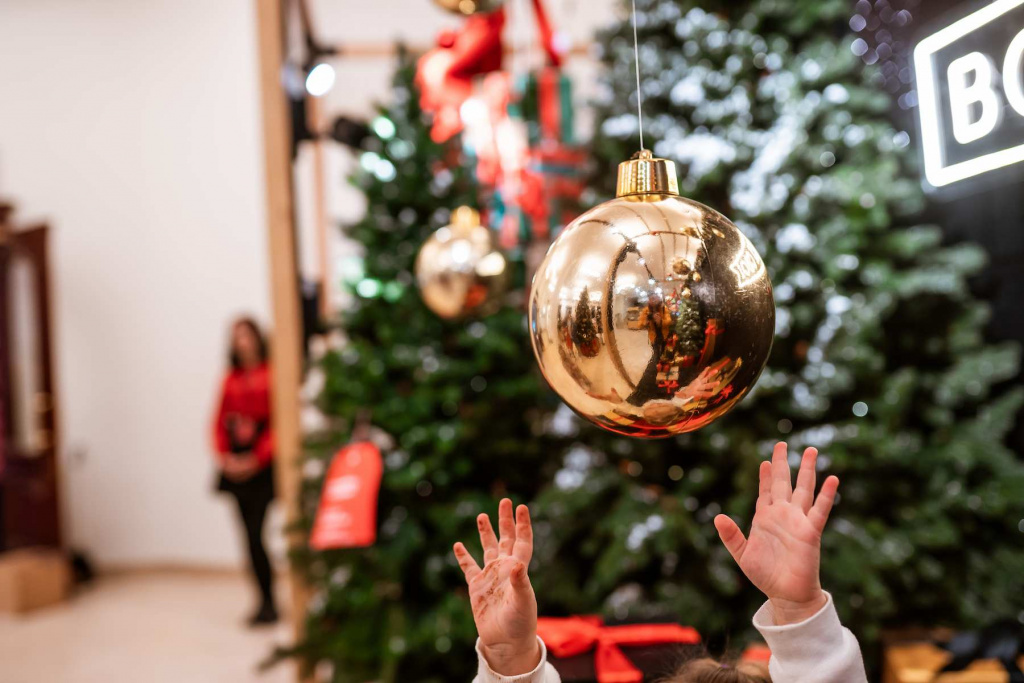 different-object-toy-gifts-hanging-on-a-decorated-2024-10-31-23-45-57-utc (1).jpg